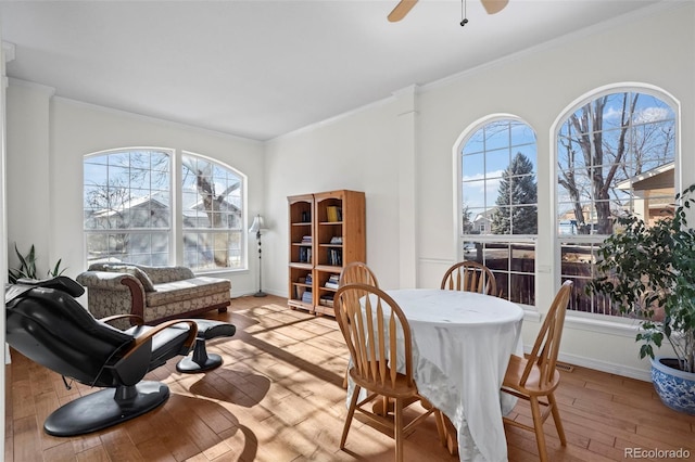 dining area with ceiling fan, crown molding, and light wood-type flooring