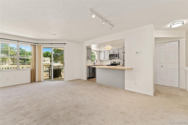 12573 E Pacific Cir Unit C, Aurora, CO 80014 - unfurnished living room featuring a textured ceiling, light colored carpet, and rail lighting