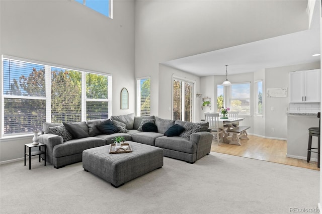 12491 E 106th Pl, Commerce City, CO 80022 - photo 9