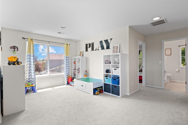12491 E 106th Pl, Commerce City, CO 80022 - photo 19