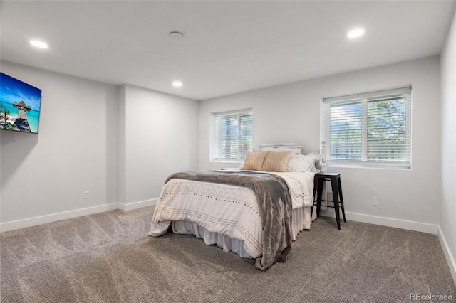 12491 E 106th Pl, Commerce City, CO 80022 - photo 34