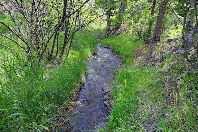 1345 Witter Gulch Rd, Evergreen, CO 80439 - photo 2