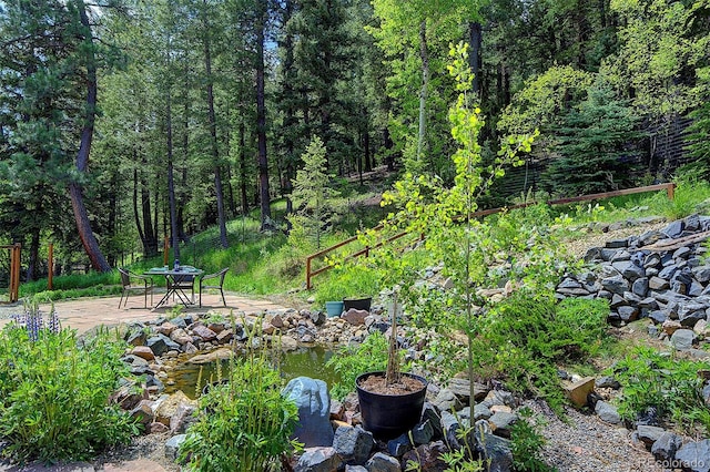 1345 Witter Gulch Rd, Evergreen, CO 80439 - photo 6