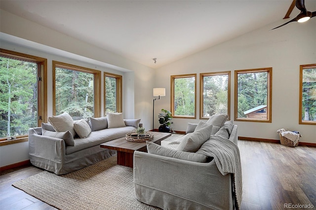 1345 Witter Gulch Rd, Evergreen, CO 80439 - photo 9