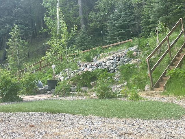 1345 Witter Gulch Rd, Evergreen, CO 80439 - photo 39