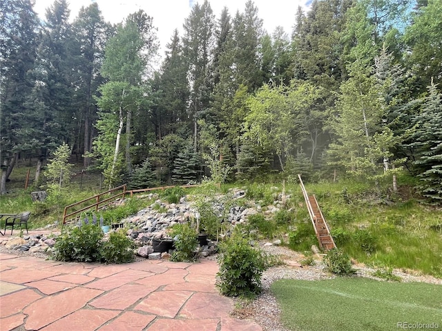 1345 Witter Gulch Rd, Evergreen, CO 80439 - photo 38