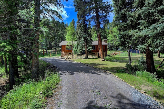 1345 Witter Gulch Rd, Evergreen, CO 80439 - photo 47
