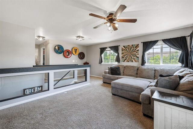 19109 E 50th Dr, Denver, CO 80249 - photo 17