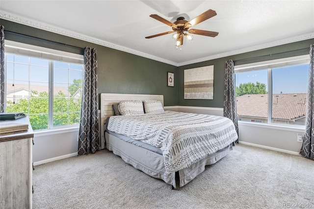 19109 E 50th Dr, Denver, CO 80249 - photo 20