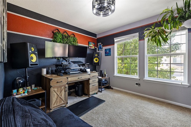 19109 E 50th Dr, Denver, CO 80249 - photo 25