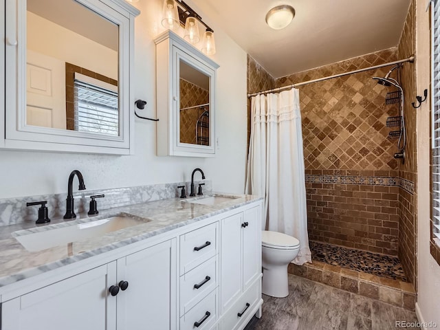 bathroom featuring vanity, curtained shower, and toilet