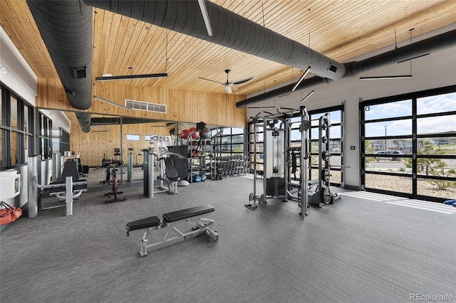 199 Simmental Loop, Castle Rock, CO 80104 - gym with wooden walls and a high ceiling
