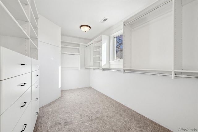 spacious closet with light carpet