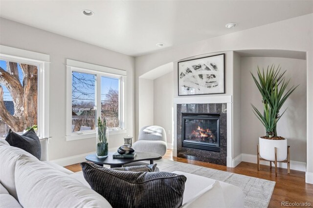 living room with a fireplace, wood finished floors, baseboards, and recessed lighting