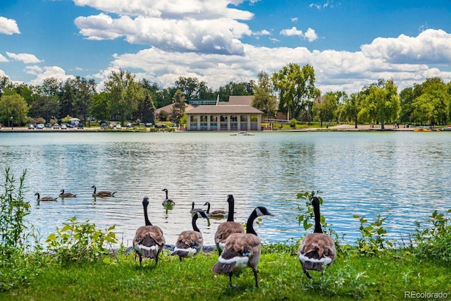 1215 S Ogden St, Denver, CO 80210 - water view