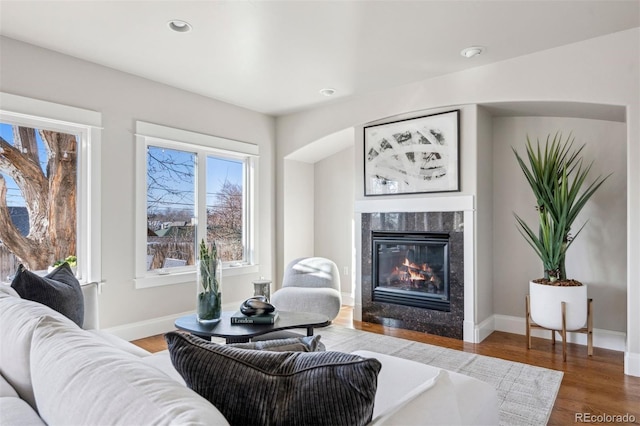 1215 S Ogden St, Denver, CO 80210 - living area featuring a fireplace, wood finished floors, baseboards, and recessed lighting