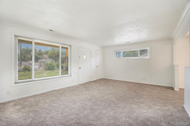 1303 Havana St, Aurora, CO 80010 - empty room featuring crown molding, carpet, and a textured ceiling
