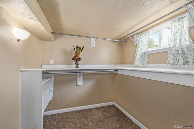 spacious closet featuring carpet