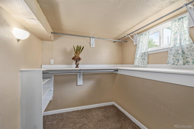 907 4th Ave And B, Unit A, Greeley, CO 80631 - spacious closet featuring carpet
