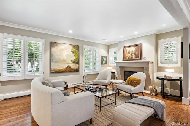 living area featuring baseboards, a glass covered fireplace, a baseboard radiator, wood finished floors, and crown molding