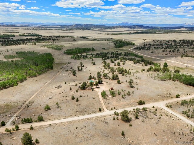 1689 Grand Teton Dr, Hartsel, CO 80449 - photo 32