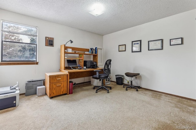 office featuring a textured ceiling, baseboards, and light colored carpet