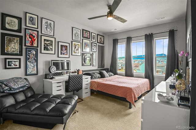 9532 Yucca Way, Arvada, CO 80007 - photo 40