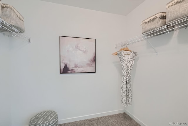 15336 W 68th Loop, Arvada, CO 80007 - spacious closet with carpet flooring