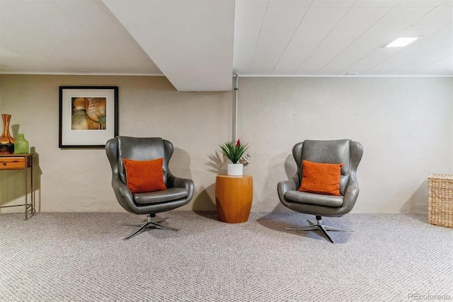 sitting room featuring carpet flooring