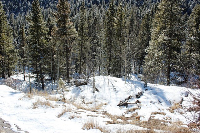 000 Nevadaville Rd, Central City, CO 80427