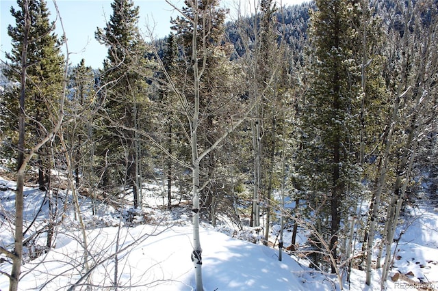 000 Nevadaville Rd, Central City, CO 80427