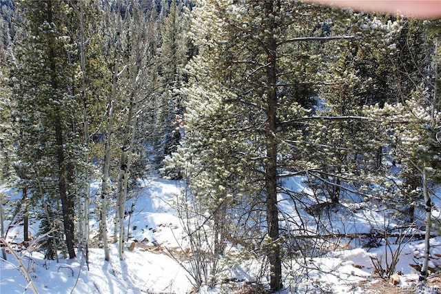 000 Nevadaville Rd, Central City, CO 80427