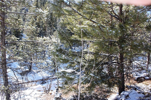000 Nevadaville Rd, Central City, CO 80427