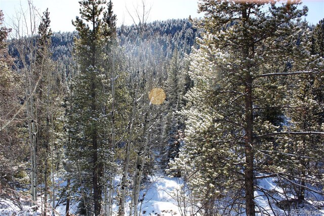 000 Nevadaville Rd, Central City, CO 80427