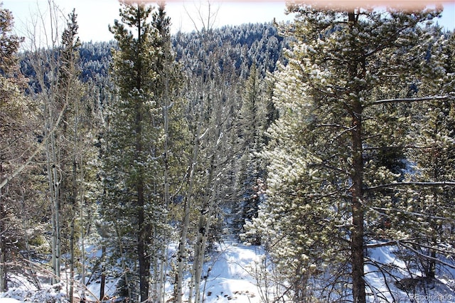 000 Nevadaville Rd, Central City, CO 80427