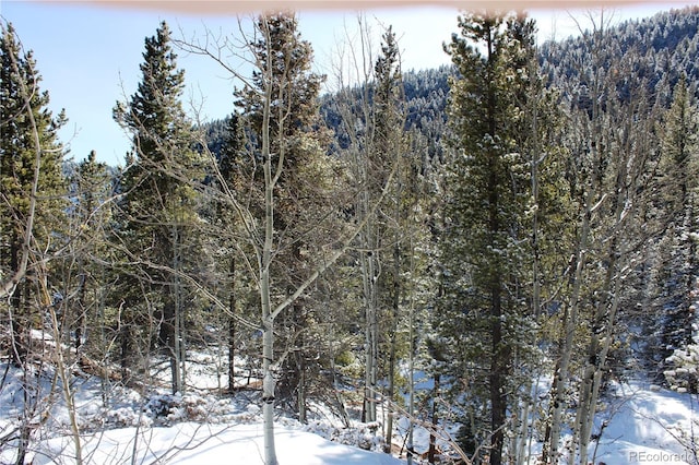 000 Nevadaville Rd, Central City, CO 80427