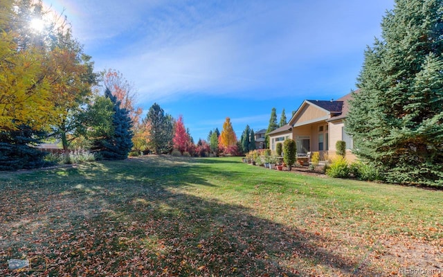 view of yard