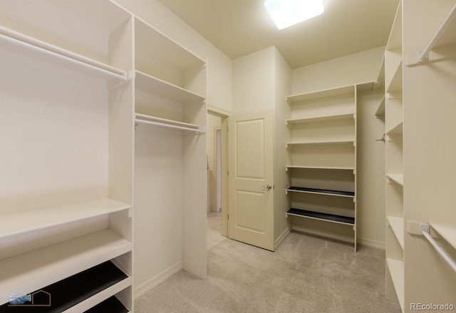 spacious closet with light carpet