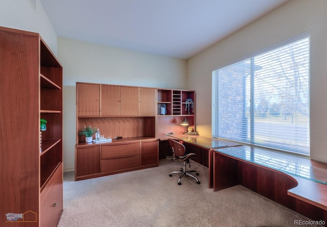 view of carpeted home office