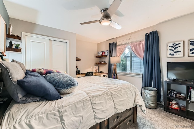 1514 E 131st Pl, Thornton, CO 80241 - photo 31