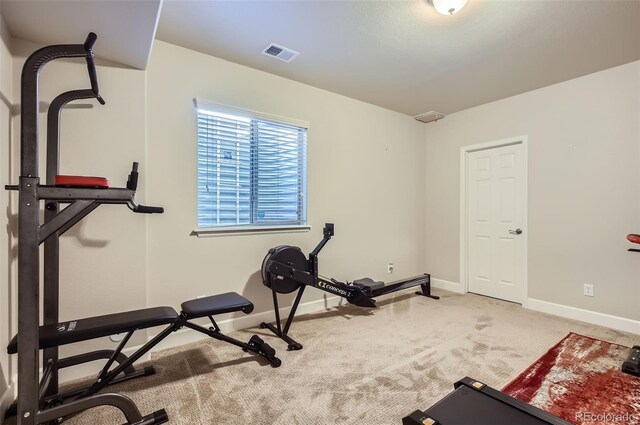 2753 Saltbrush Dr, Loveland, CO 80538 - photo 10
