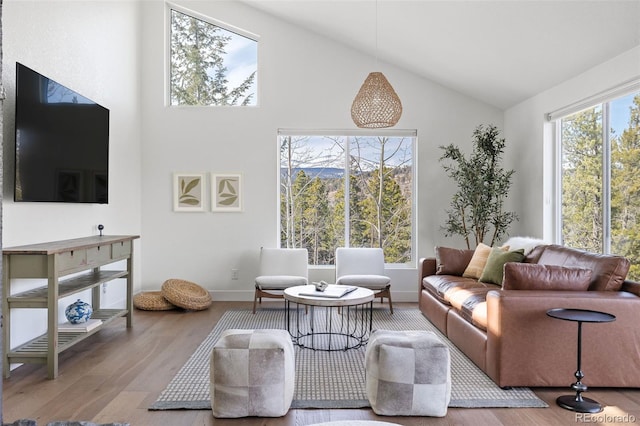 living area featuring wood finished floors, baseboards, and high vaulted ceiling