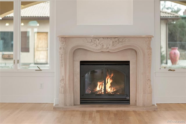 room details with a glass covered fireplace, wood finished floors, and baseboards