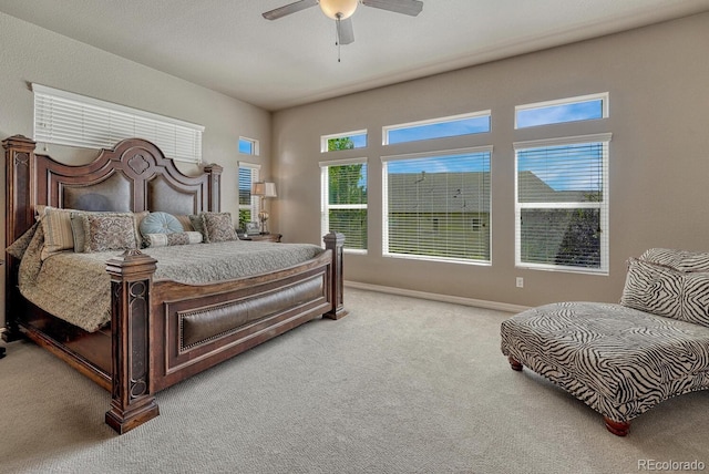 16192 St Lawrence Way, Monument, CO 80132 - photo 18