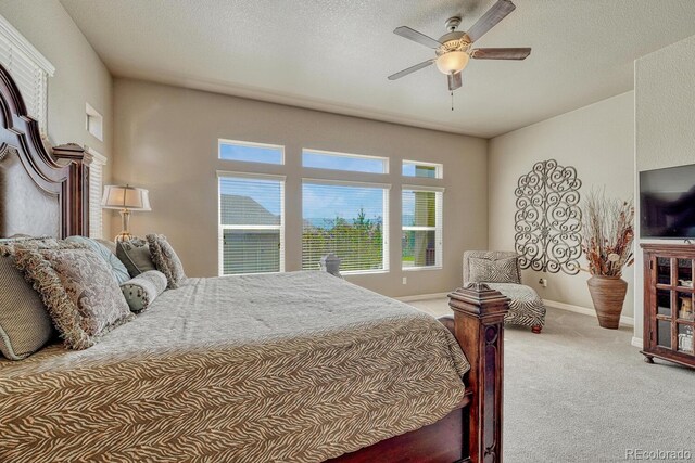 16192 St Lawrence Way, Monument, CO 80132 - photo 19