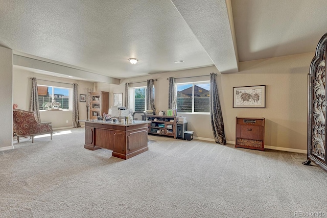 16192 St Lawrence Way, Monument, CO 80132 - photo 31