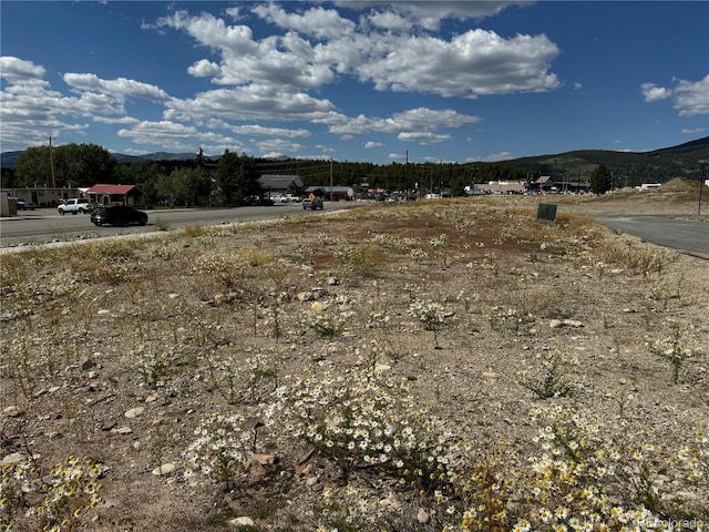 200 E 15th St, Leadville CO, 80461 land for sale