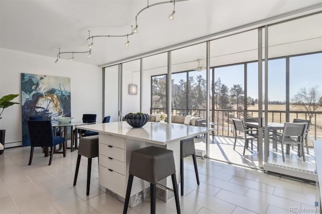 dining space featuring rail lighting, a healthy amount of sunlight, floor to ceiling windows, and light tile patterned floors