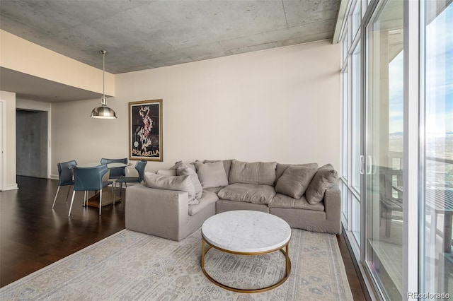 living room featuring hardwood / wood-style floors and floor to ceiling windows