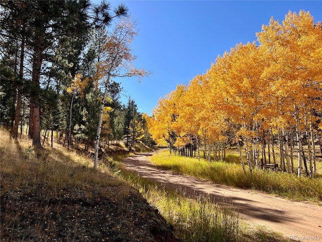 14 Aspen Dr, Bailey, CO 80421 - view of street with a wooded view